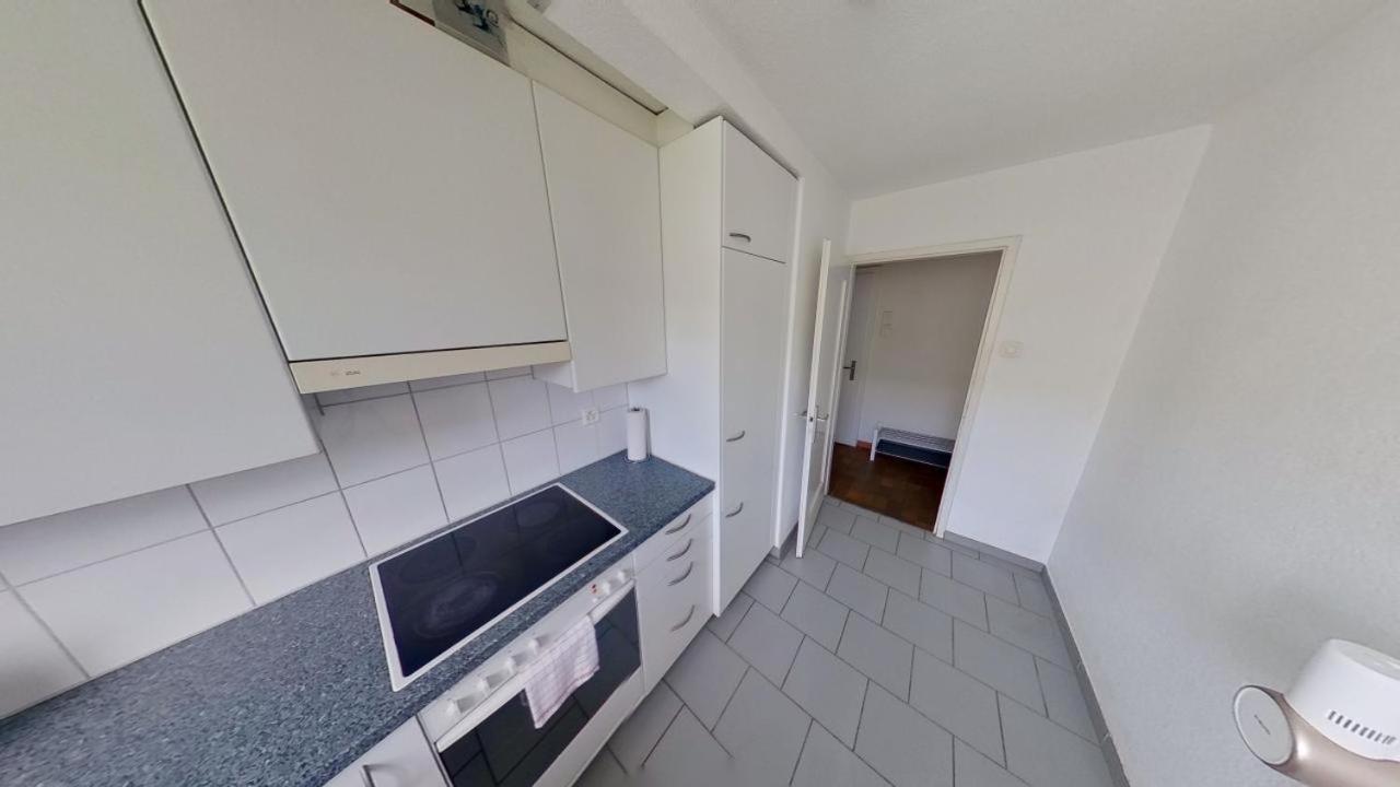 Duebendorfstrasse 171 Lägenhet Zürich Exteriör bild